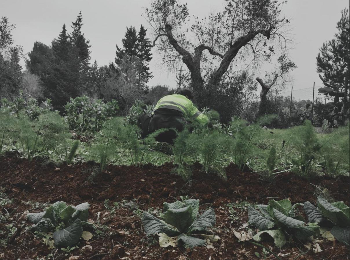 Salento Home Farm Bagnolo del Salento Exterior photo