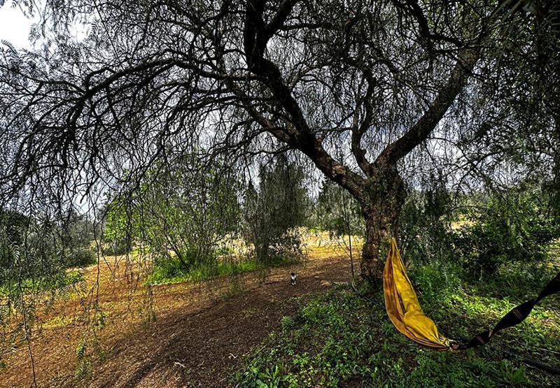 Salento Home Farm Bagnolo del Salento Exterior photo